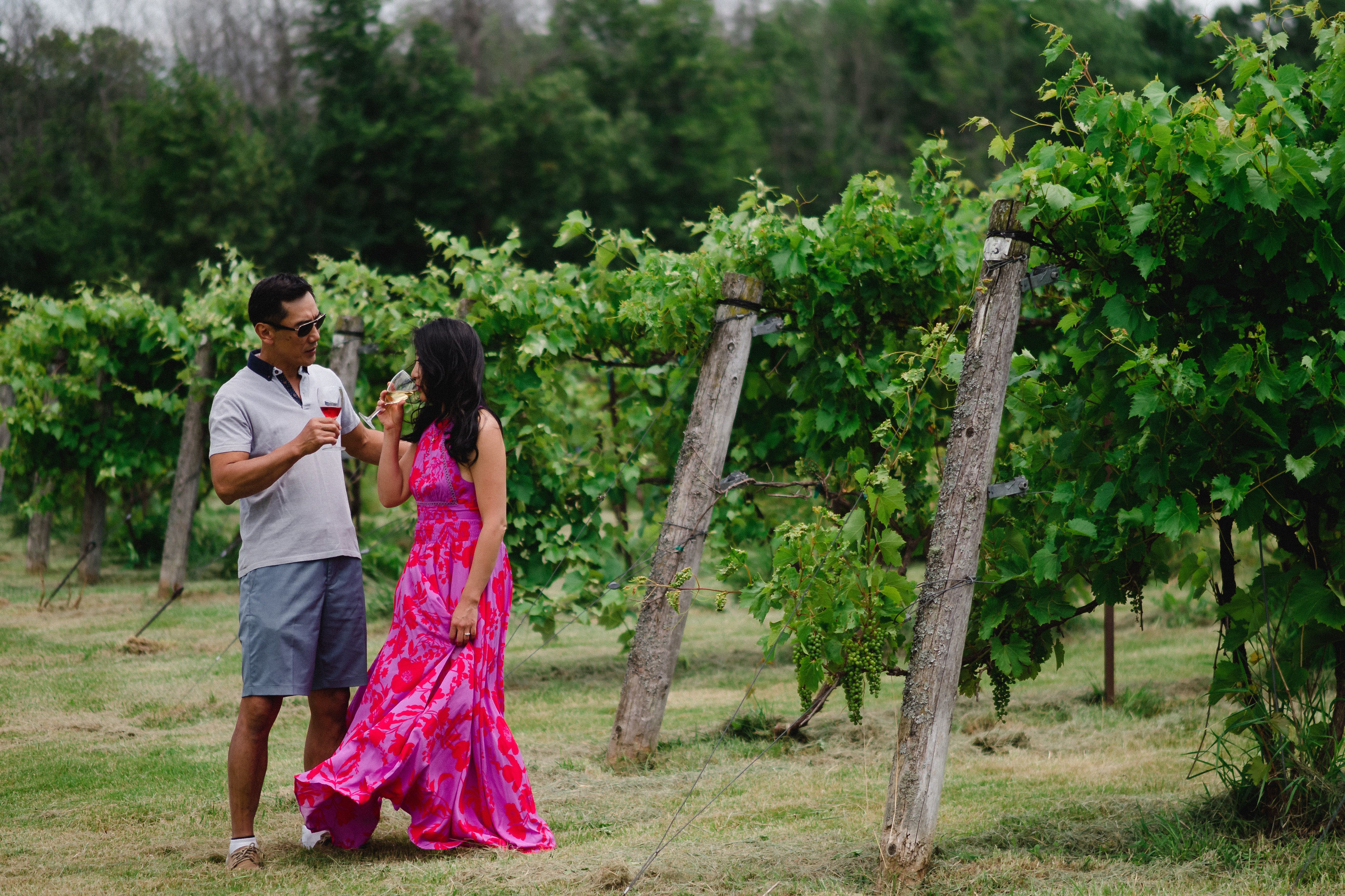 Green Gables Vineyard Winery ARomantic Couple Drinking Wine among the Vines