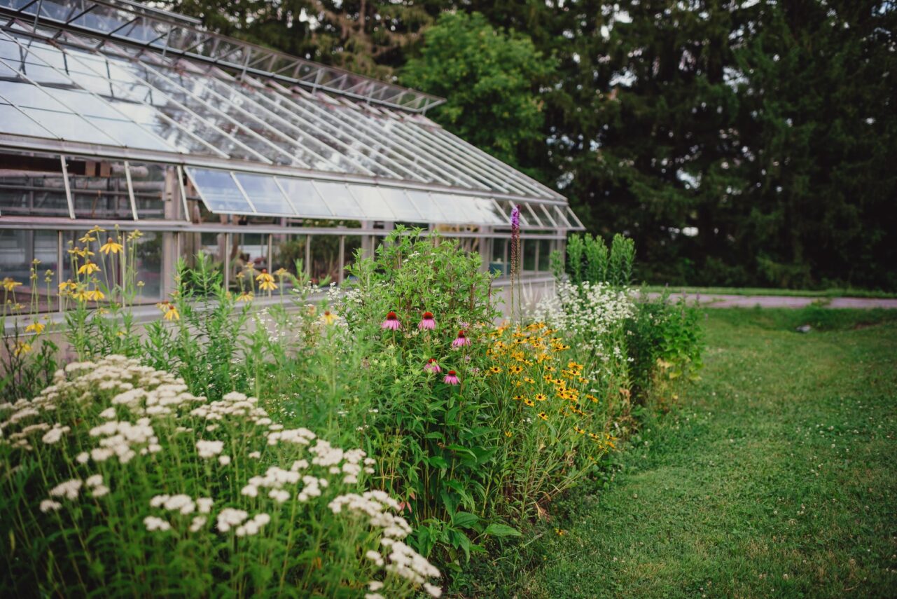 greenhouse