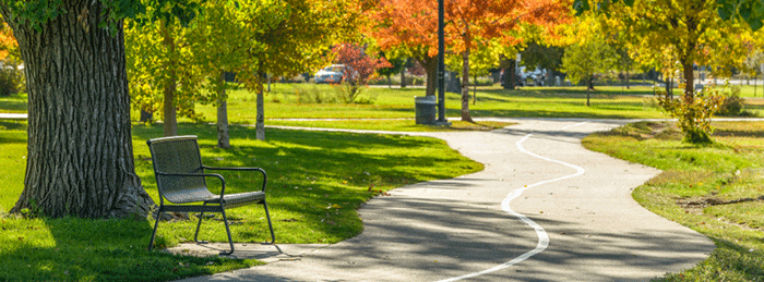 a multi-use pathway with a bench