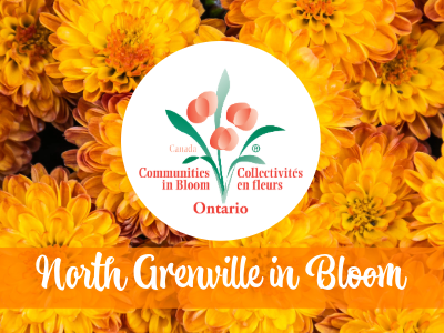 North Grenville Earns Four Blooms in Communities in Bloom Competition Special Recognition for Exceptional Landscaping