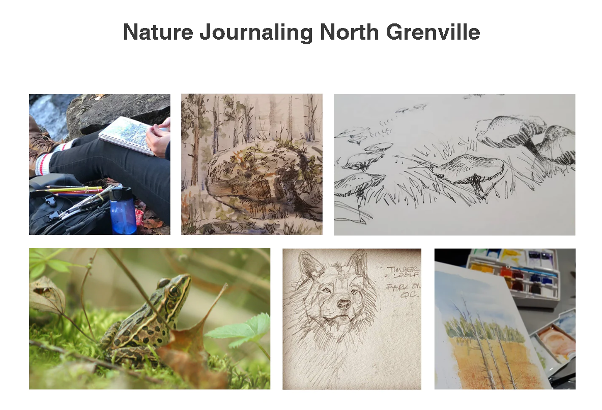 nature-journalling.jpeg