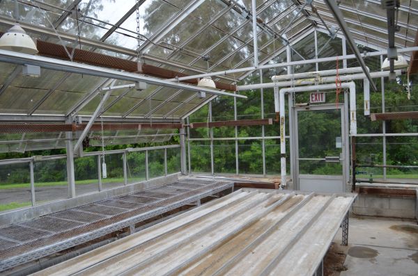 Kemptville Campus - AJ Logsdail Greenhouse