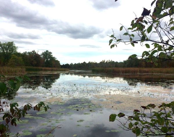 Libby Island Trail