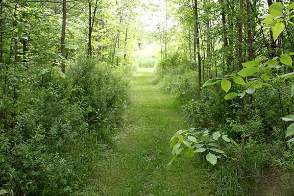 John C. Foster Park