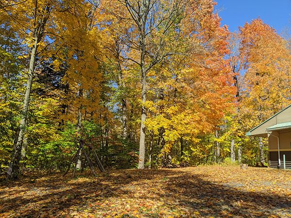 Sugar Bush Trail