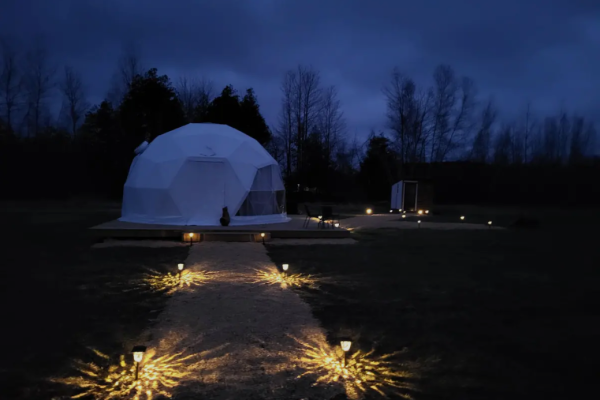 Limerick Forest Retreat - Forest Dome