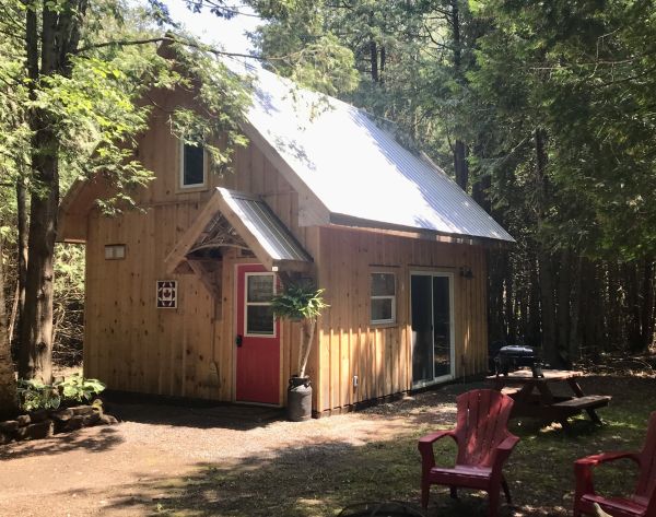 Cabin in the Forest